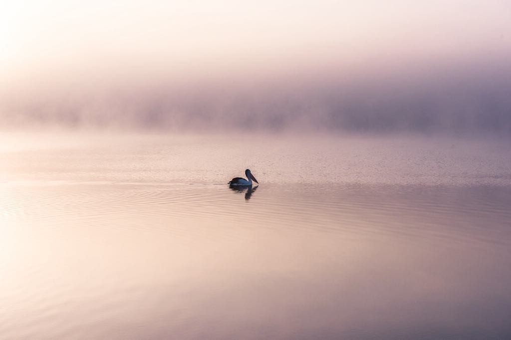 Lake Boga